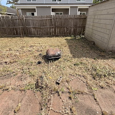 Lawn-Cleanup-in-Conway-SC 0